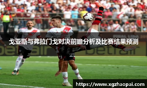 戈亚斯与弗拉门戈对决前瞻分析及比赛结果预测