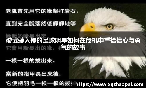 emc易倍体育官方网站