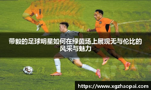带毅的足球明星如何在绿茵场上展现无与伦比的风采与魅力